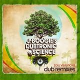 Revolution Dub Feat. Lyrics Born & The Mamaz