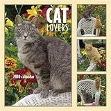 Cat Lovers 2010 Wall Calendar 12 X 12