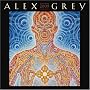 Alex Grey 2009 Wall Calendar