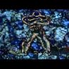 Helplessly Young - video by Oh No Ono