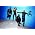 Thumbnail image of The Black Eyed Peas