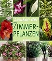Lexikon der Zimmerpflanzen. Die schönsten Zimmerpflanzen von A bis Z und Wissenswertes zu Pflege und Standort.