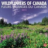 Wildflowers of Canada / Fleurs Sauvages Du Canada 2011 Calendar