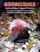 Geoscience: Understanding Geological Processes