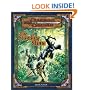 The Standing Stone: An Adventure for 7th-Level Characters (Dungeons & Dragons Adventure)