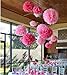 Aspire 36 Pcs Paper Decorations Pom Pom Pink Tissue Paper Flower Birthday Celebration Party Favors