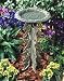 Butterfly Birdbath and Pedestal -Green