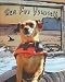 Sea For Yourself: The Great Chiweenie Presents