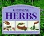 A Creative Step-By-Step Guide to Growing Herbs (Step-By-Step Gardening)