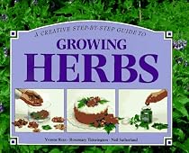 A Creative Step-By-Step Guide to Growing Herbs
