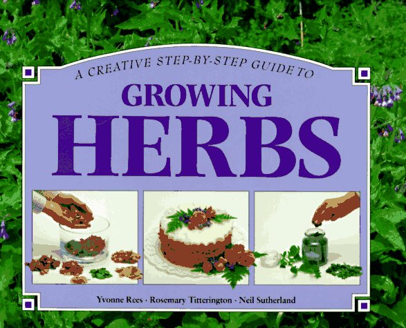A Creative Step-By-Step Guide to Growing Herbs