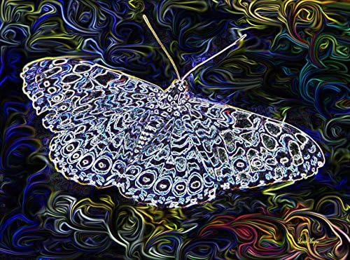 Graphic Blue Clacker Butterfly - Blank Note Card (BU11a) with Envelope (A2)