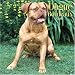 Dogue De Bordeaux 2006 Calendar