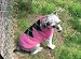 Handmade Wool Argyle Dog Sweater Pink Size Large