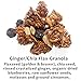 Flax Granola - Variety Pack: Fruit & Berry, Pumpkin Spice, Ginger Chia, and Apple Cinnamon - The Plan Friendly, Gluten Free - 12 oz, 4 pack