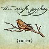 Calico - Tin Cup Gypsy