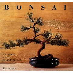 Create Your Own Bonsai