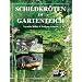 Schildkr�ten im Gartenteich