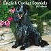 English Cocker Spaniels 2007 Calendar