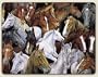 11"x15"~ Horse Stampede ~ large glass cutting board