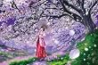 108ピース 桜風 108-062 108ピース 桜風 108-062