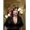 Miniaturansicht von Caro Emerald