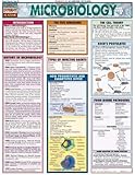 Microbiology (Quickstudy: Academic)
