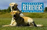 Labrador Retrievers: A Book of Postcards