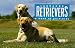 Labrador Retrievers: A Book of Postcards