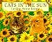 Search : Cats in the Sun (A Puffin Pied Piper)
