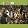Echoes of Nature: Bayou [CD on Demand]