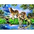 A New Moon 1000pc Jigsaw Puzzle by Howard Robinson