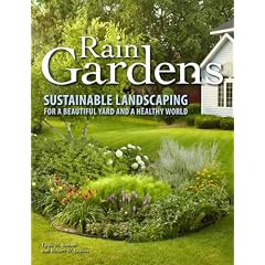 Rain Gardens: Sustainable Landscaping for a Beautiful Yard and a Healthy World