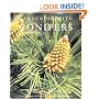 Gardening with Conifers