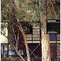 Eames House: Charles and Ray Eames (Architecture in Detail)