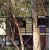 Eames House Aid (Architecture in Detail)