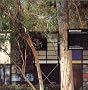 Eames House: Pacific Palisades 1949, Charles and Ray Eames