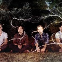 Grizzly Bear