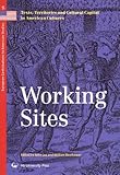 Working sites : text, territories and cultural capital in American cultures
