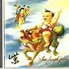 Bild des Albums von Stone Temple Pilots