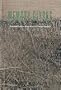 Memory Glyphs: 3 Prose Poets from Romania