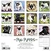 Just Pug Puppies 2016 Calendar