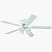 616D3Qco%2BlL. SL75  Monte Carlo Ceiling Fans ? for the Perfect Dream Home the Interior Decoration