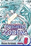 Knights of the Zodiac (Saint Seiya), Vol. 6