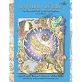 Diversity of Life: The Illustrated Guide to Five Kingdoms: The Illustrated Guide to the Five Kingdoms