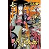 xxxHOLiC, Vol. 13