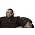 Vignette de Timbaland