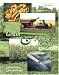 Grain and Forage Crops: Laboratory Manual
