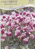 Amazon / Hirts: Seed; Perennial: Peppermint Candy Columbine - 30 Seeds - Aquilegia