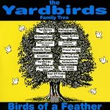 Yardbirds Family Tree-Birds Of A Feather